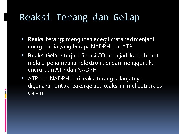 Reaksi Terang dan Gelap Reaksi terang: mengubah energi matahari menjadi energi kimia yang berupa