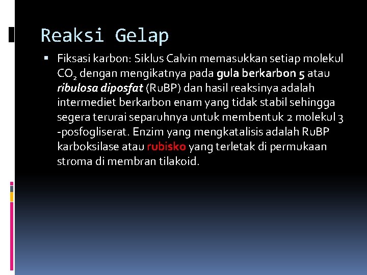 Reaksi Gelap Fiksasi karbon: Siklus Calvin memasukkan setiap molekul CO 2 dengan mengikatnya pada