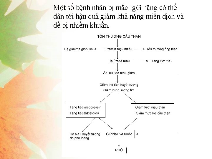 Một số bệnh nhân bị mắc Ig. G nặng có thể dẫn tới hậu