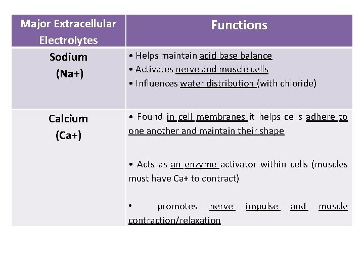 Major Extracellular Functions Electrolytes • Helps maintain acid base balance Sodium • Activates nerve