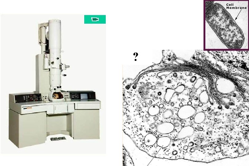 ? 10, 000 -100, 000 ; resolution 2. 5 nm. 