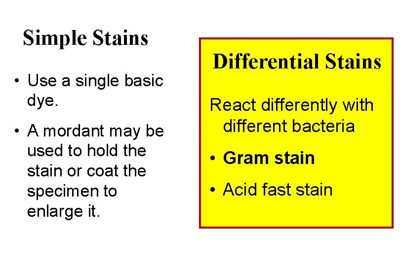 Simple Stains • Use a single basic dye. • A mordant may be used