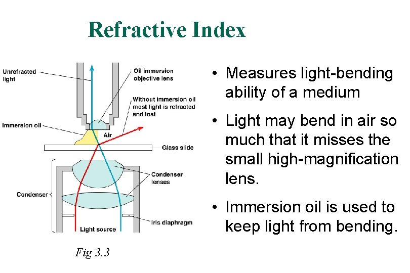 Refractive Index • Measures light-bending ability of a medium • Light may bend in