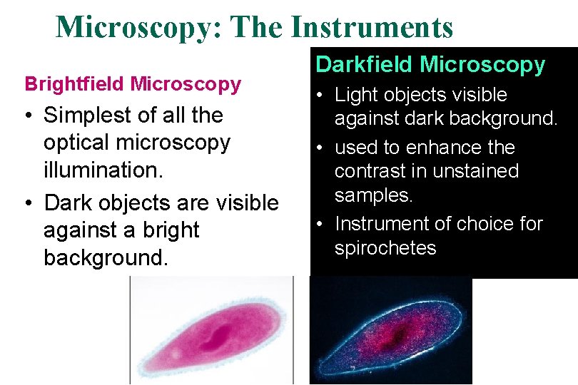Microscopy: The Instruments Brightfield Microscopy • Simplest of all the optical microscopy illumination. techniques