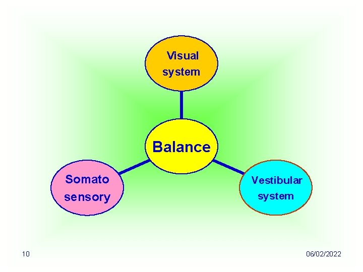 Visual system Balance Somato sensory 10 Vestibular system 06/02/2022 