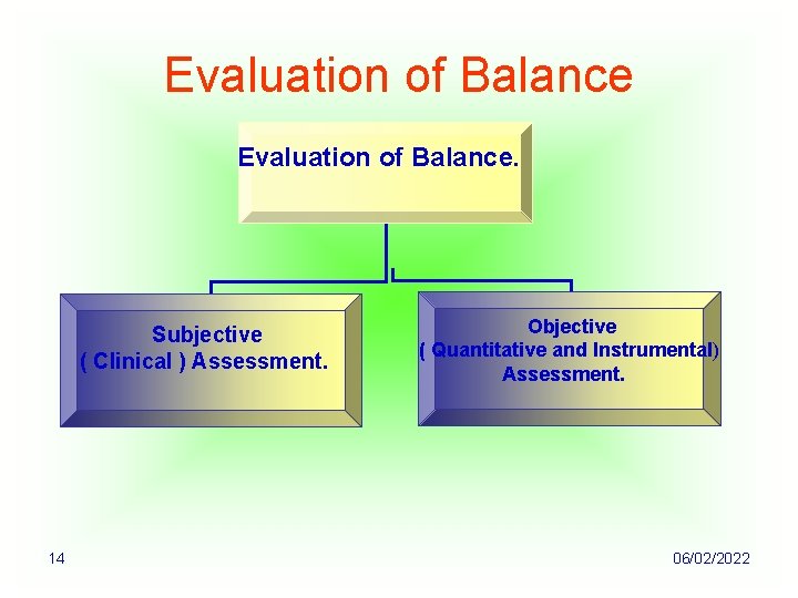 Evaluation of Balance. Subjective ( Clinical ) Assessment. 14 Objective ( Quantitative and Instrumental)