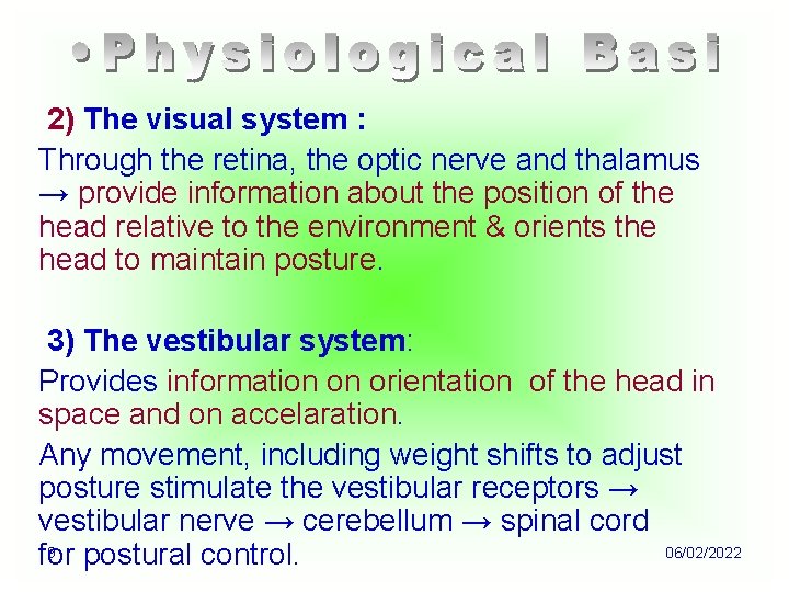 2) The visual system : Through the retina, the optic nerve and thalamus →