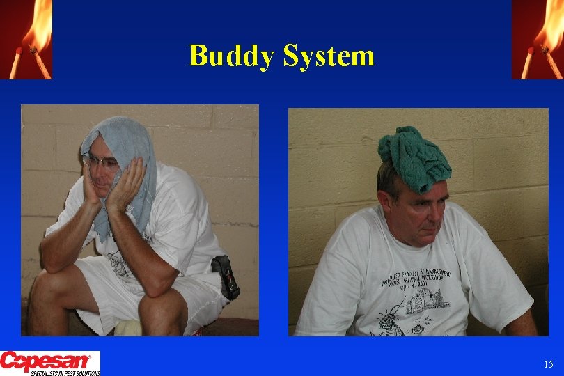 Buddy System 15 