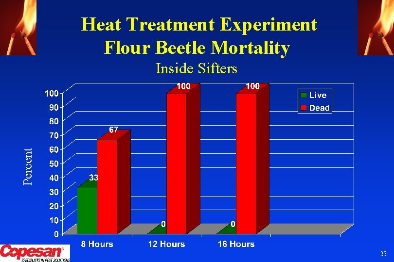 Heat Treatment Experiment Flour Beetle Mortality Percent Inside Sifters 25 