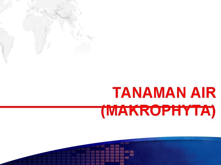 TANAMAN AIR (MAKROPHYTA) 