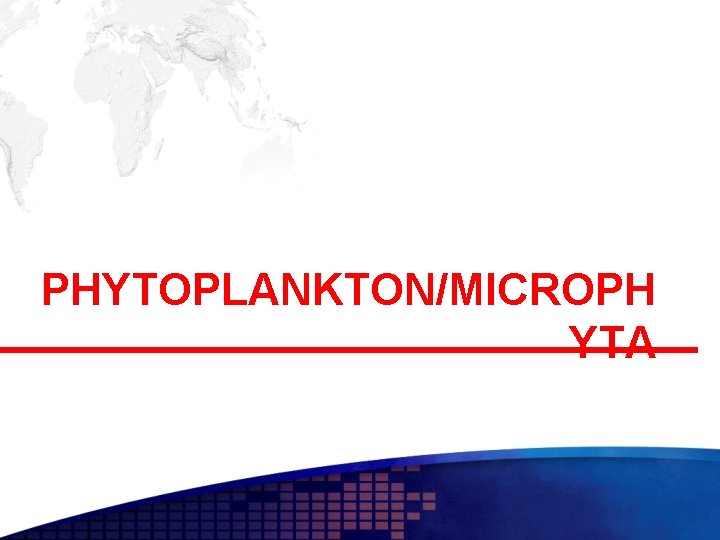 PHYTOPLANKTON/MICROPH YTA 