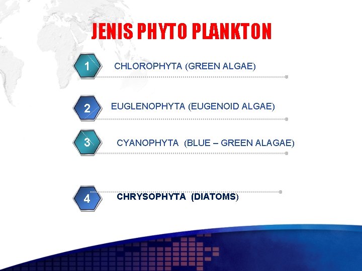 JENIS PHYTO PLANKTON 1 2 CHLOROPHYTA (GREEN ALGAE) EUGLENOPHYTA (EUGENOID ALGAE) 3 CYANOPHYTA (BLUE