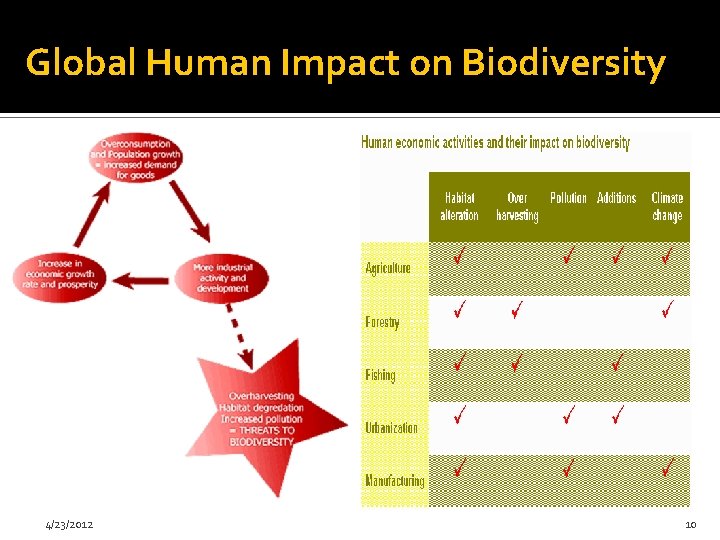 Global Human Impact on Biodiversity 4/23/2012 10 