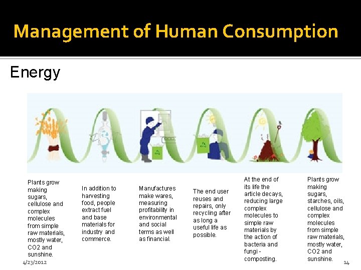 Management of Human Consumption Energy Plants grow making sugars, cellulose and complex molecules from
