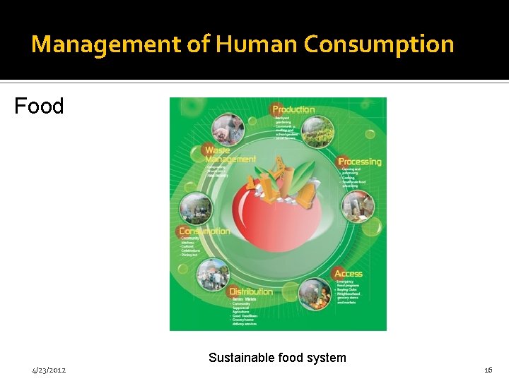 Management of Human Consumption Food Sustainable food system 4/23/2012 16 