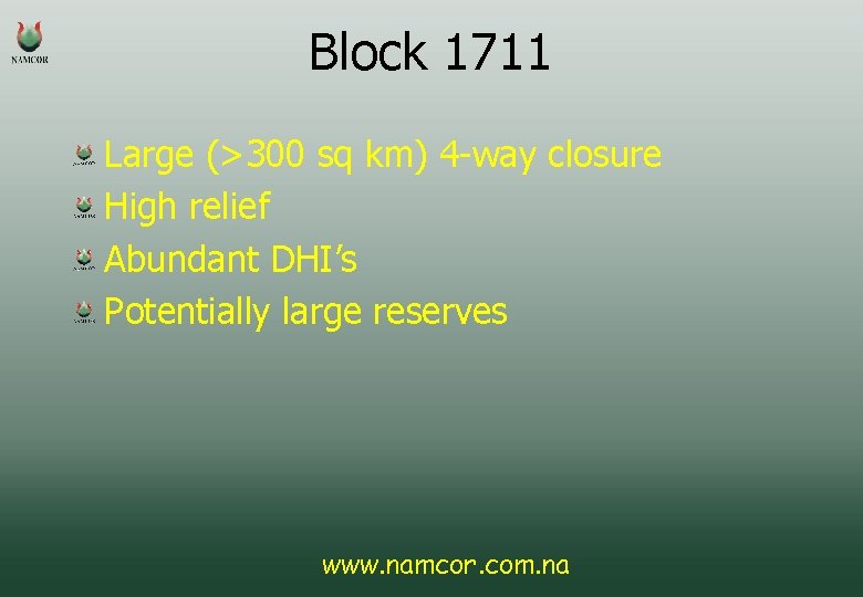 Block 1711 Large (>300 sq km) 4 -way closure High relief Abundant DHI’s Potentially