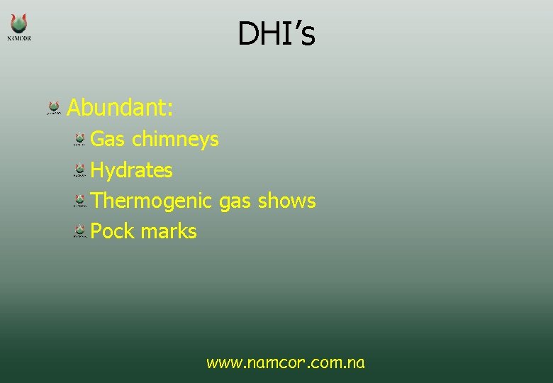 DHI’s Abundant: Gas chimneys Hydrates Thermogenic gas shows Pock marks www. namcor. com. na