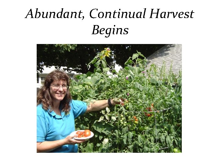 Abundant, Continual Harvest Begins 