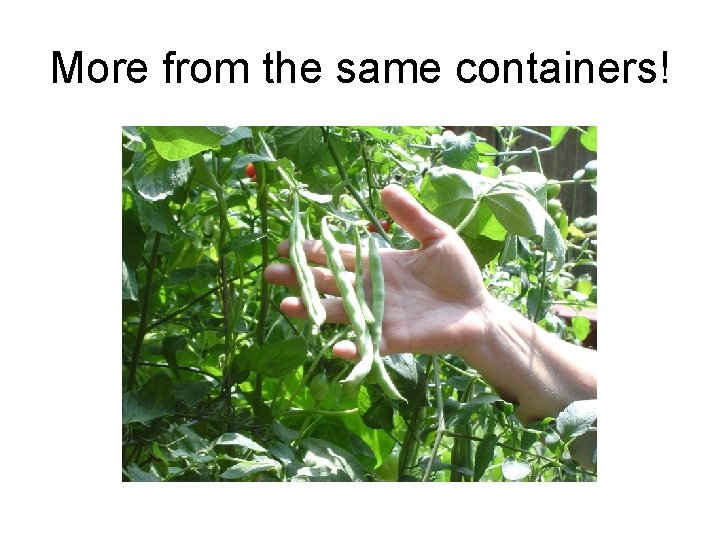 More from the same containers! 
