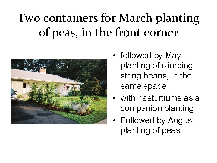 Two containers for March planting of peas, in the front corner • followed by