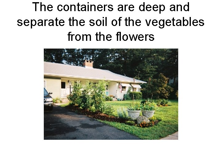 The containers are deep and separate the soil of the vegetables from the flowers