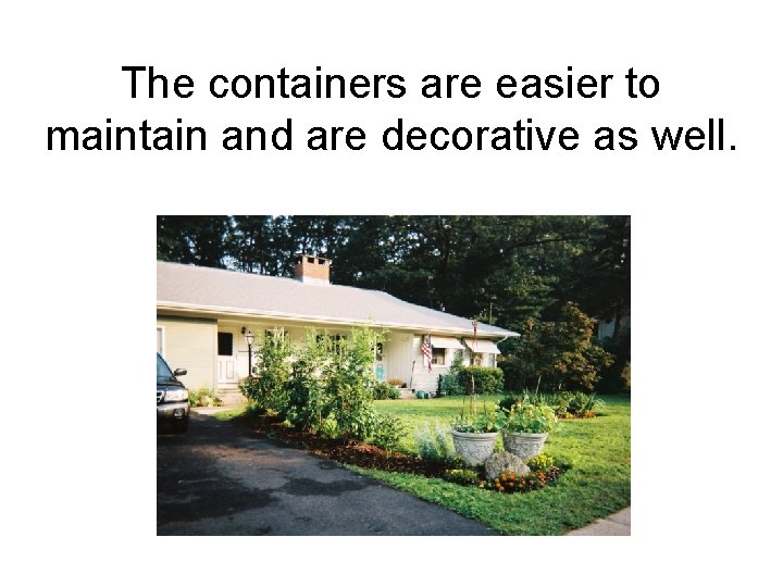 The containers are easier to maintain and are decorative as well. 