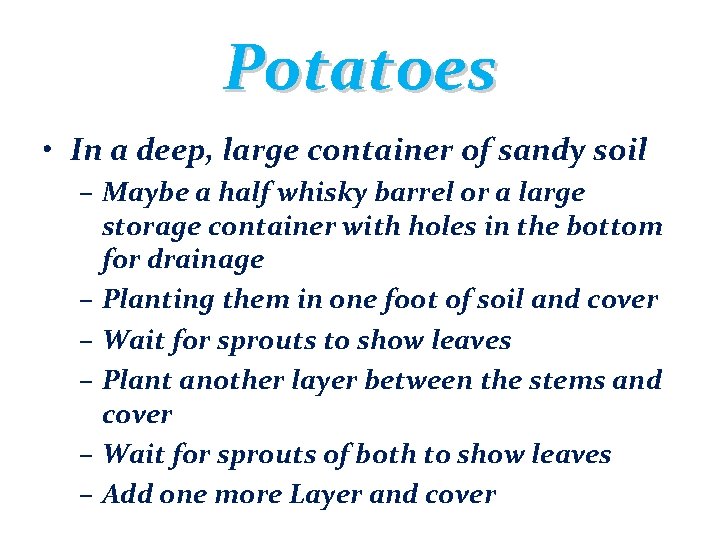 Potatoes • In a deep, large container of sandy soil – Maybe a half