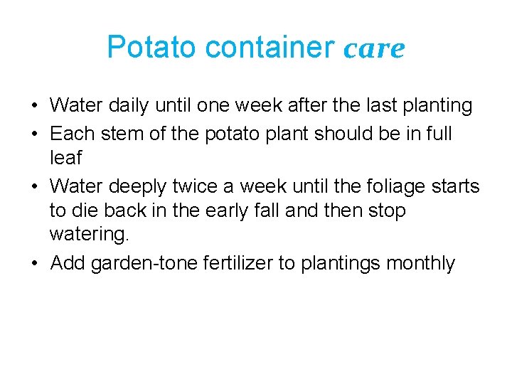 Potato container care • Water daily until one week after the last planting •