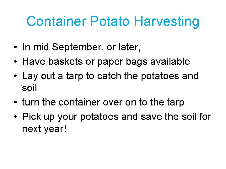 Container Potato Harvesting • In mid September, or later, • Have baskets or paper