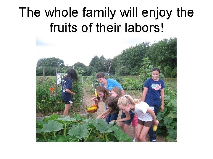 The whole family will enjoy the fruits of their labors! 
