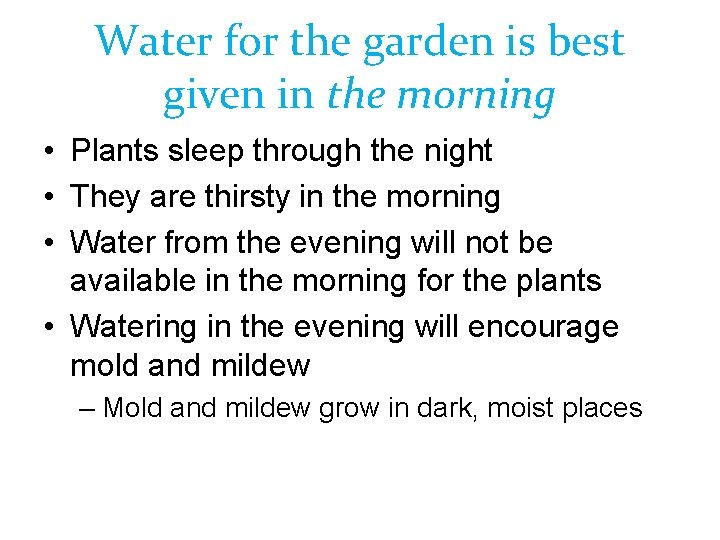 Water for the garden is best given in the morning • Plants sleep through