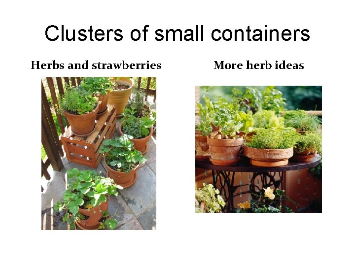 Clusters of small containers Herbs and strawberries More herb ideas 