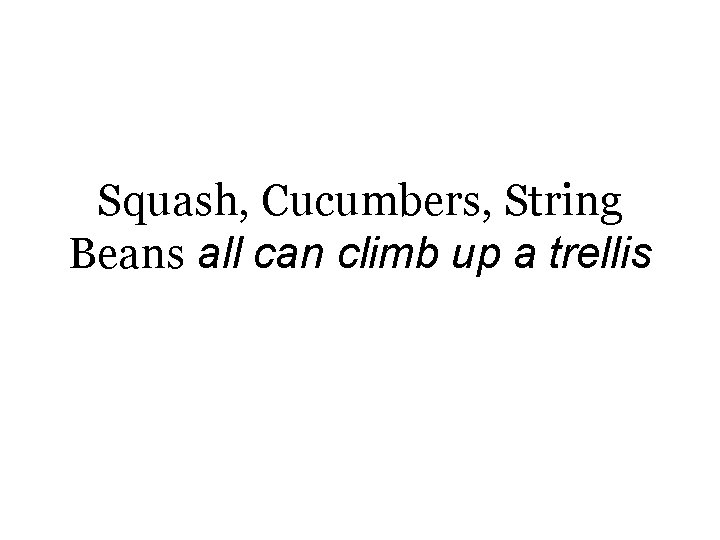 Squash, Cucumbers, String Beans all can climb up a trellis 