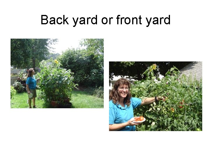Back yard or front yard 