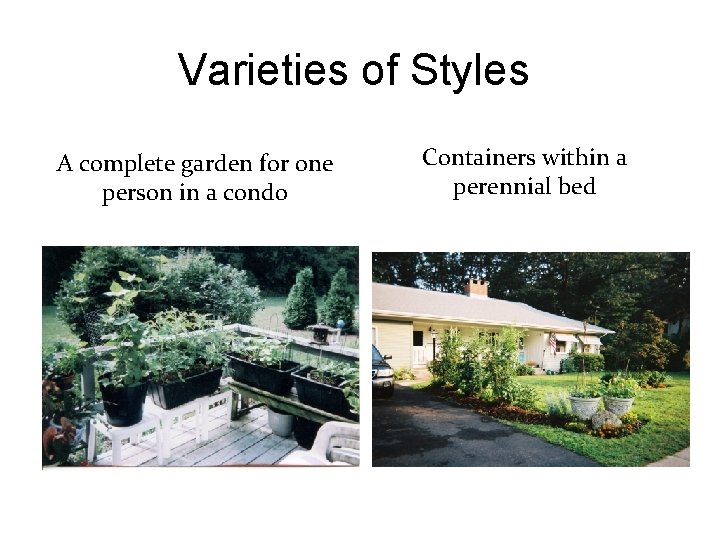 Varieties of Styles A complete garden for one person in a condo Containers within