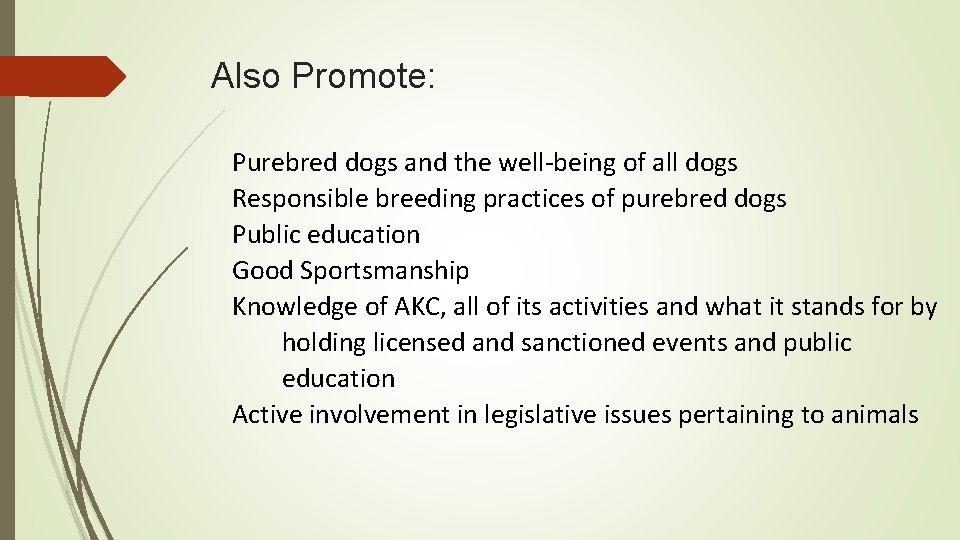 Also Promote: Purebred dogs and the well-being of all dogs Responsible breeding practices of