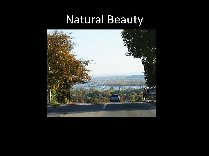 Natural Beauty 