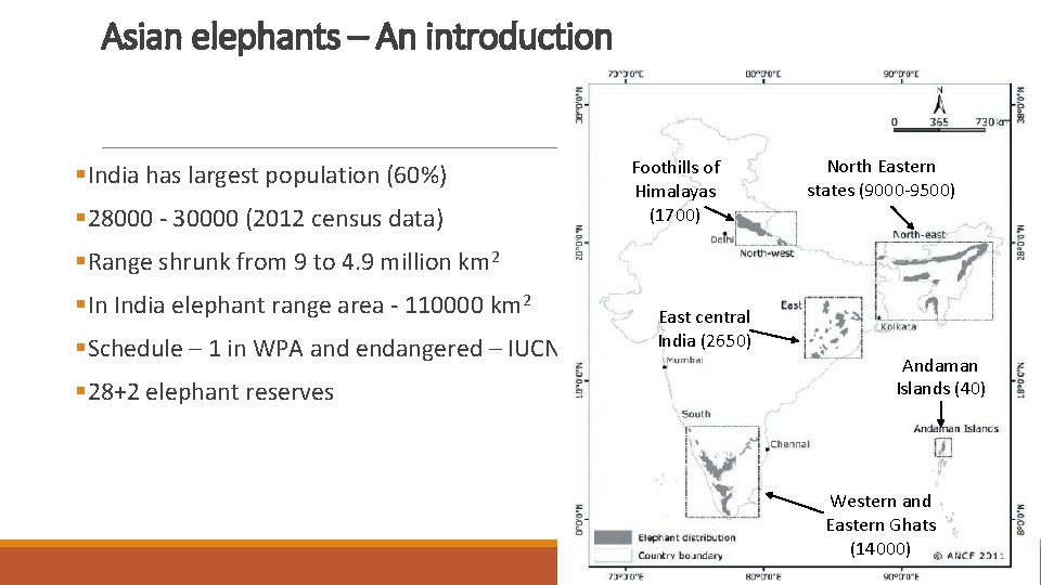 Asian elephants – An introduction §India has largest population (60%) § 28000 - 30000