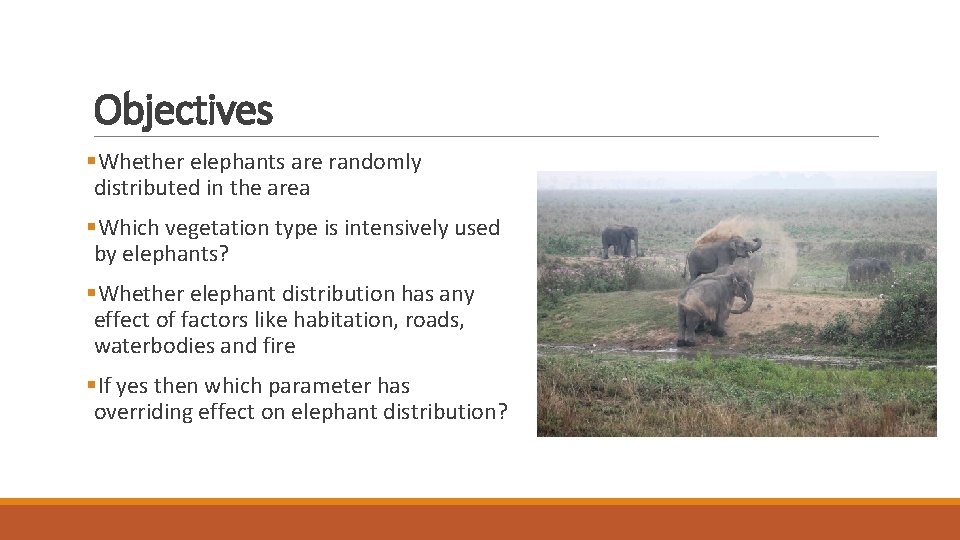 Objectives §Whether elephants are randomly distributed in the area §Which vegetation type is intensively