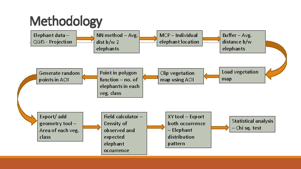 Methodology Elephant data – QGIS - Projection Generate random points in AOI Export/ add