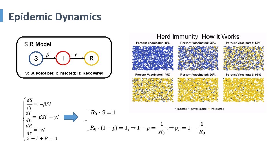 Epidemic Dynamics SIR Model S I R S: Susceptible; I: Infected; R: Recovered 