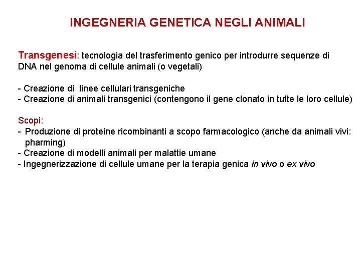 INGEGNERIA GENETICA NEGLI ANIMALI Transgenesi: tecnologia del trasferimento genico per introdurre sequenze di DNA