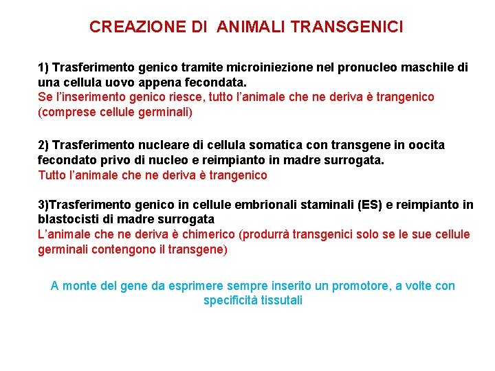 CREAZIONE DI ANIMALI TRANSGENICI 1) Trasferimento genico tramite microiniezione nel pronucleo maschile di una