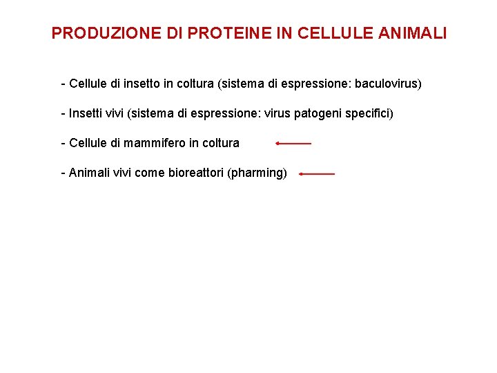 PRODUZIONE DI PROTEINE IN CELLULE ANIMALI - Cellule di insetto in coltura (sistema di