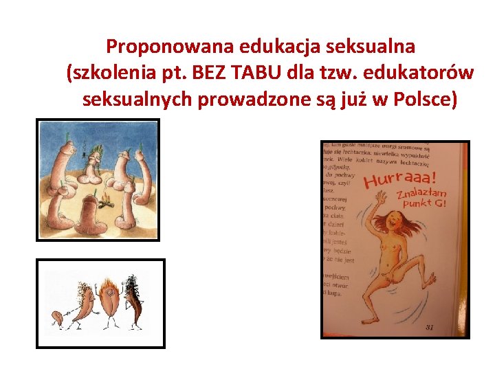 Proponowana edukacja seksualna (szkolenia pt. BEZ TABU dla tzw. edukatorów seksualnych prowadzone są już
