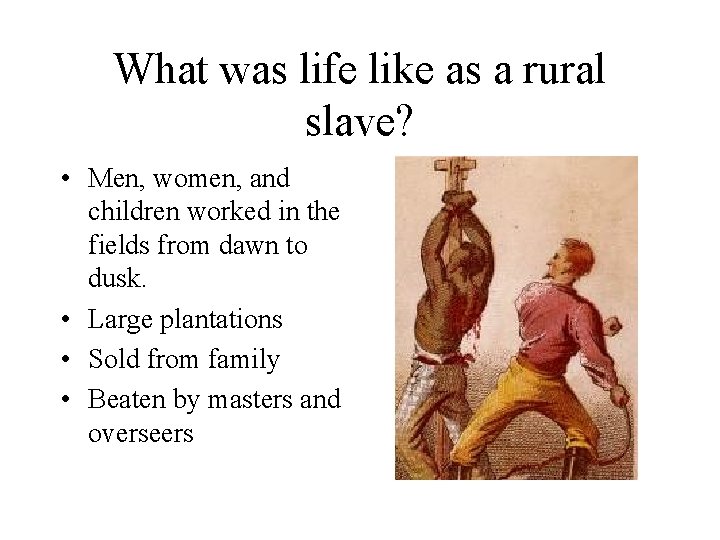 What was life like as a rural slave? • Men, women, and children worked