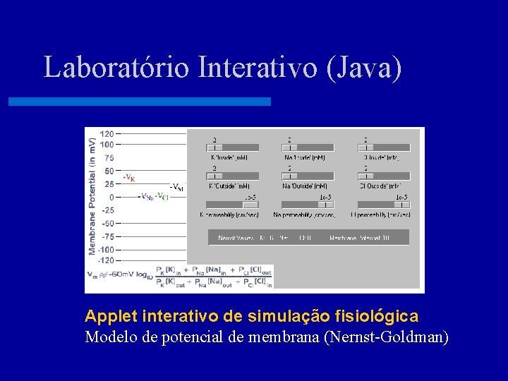 Laboratório Interativo (Java) Applet interativo de simulação fisiológica Modelo de potencial de membrana (Nernst-Goldman)