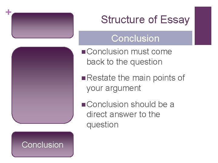 + Structure of Essay Conclusion n Conclusion must come back to the question n