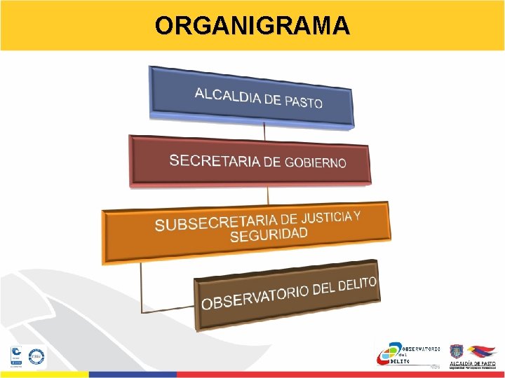 ORGANIGRAMA 