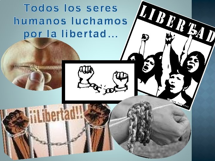 Todos los seres humanos luchamos por la libertad… 